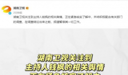 娱乐圈吃瓜专业术语,揭秘明星幕后故事与八卦风云